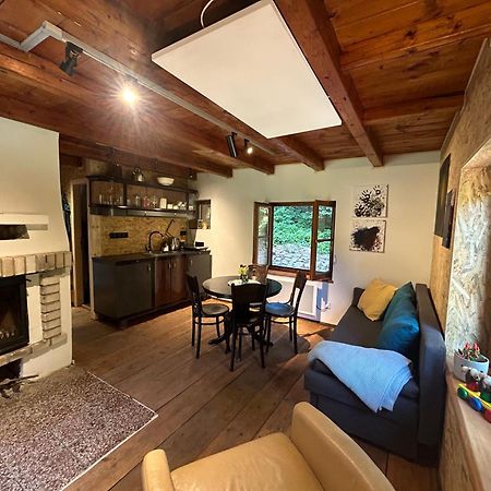 Srub V Bolkovskem Udoli Villa Rudnik Ngoại thất bức ảnh