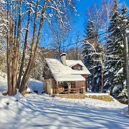 Srub V Bolkovskem Udoli Villa Rudnik Ngoại thất bức ảnh